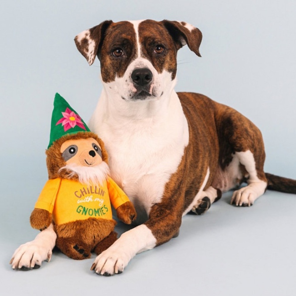 NWT FRINGE STUDIO DOG PLUSH STUFFED SLOTH GNOME CRINKLE SQUEEK *FUNNY PUPPY TOY - Picture 2 of 6